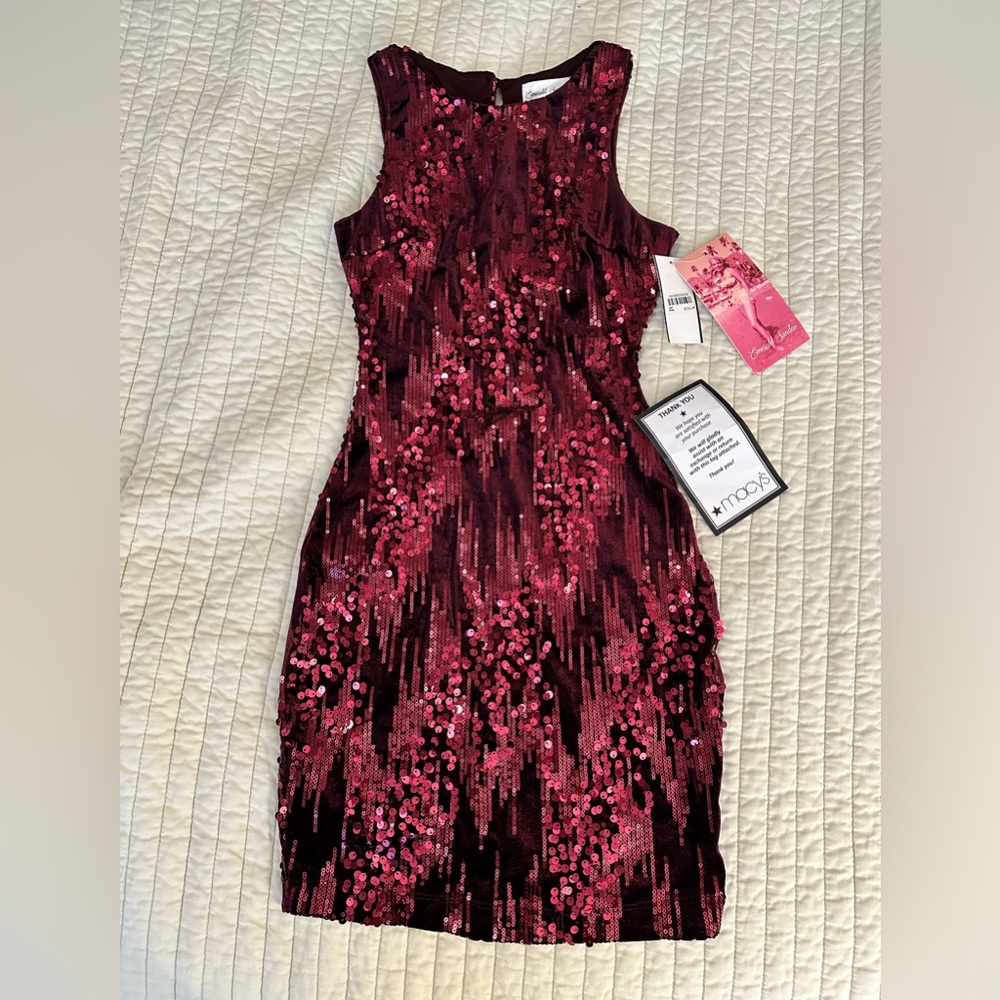 Velvet & Sequin Bodycon Mini Dress